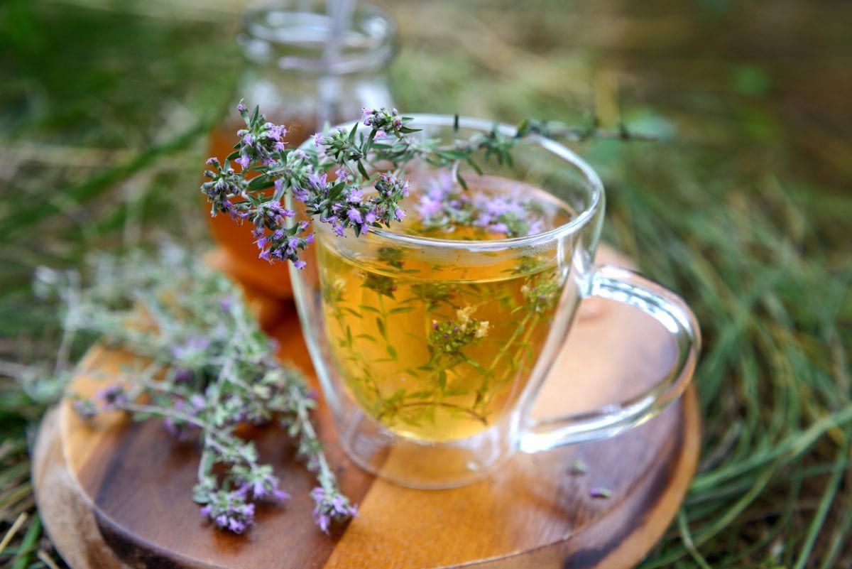 Tout savoir sur le thym et ses bienfaits sur l'organisme.