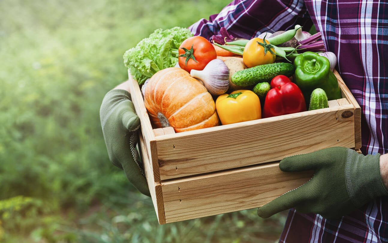 quel-l-gume-est-le-moins-calorique